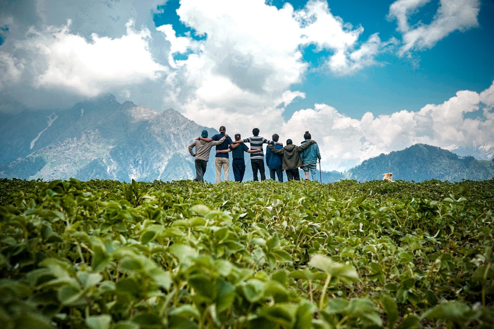 The young friends on top of a mountain enjoying the mesmerizing view